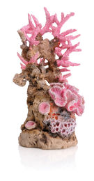 biOrb Korallenriff Ornament pink Figur und Höhle für Meerwasser und Süßwasser Aquarien – Bild 1 von 2