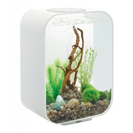 biOrb LIFE 15 LED Aquarien-Set in Weiß mit Filtersystem und 15 Liter Tankvolumen - 15 l – Bild 1 von 9
