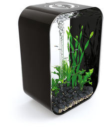 biOrb LIFE 60 MCR Aquarium Schwarz – Bild 1 von 5