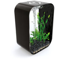 Produktbild von biOrb LIFE 60 MCR Aquarium Schwarz