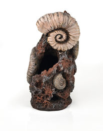 biOrb Muschelbaumstumpf Ornament Figur und Höhle für Fischaquarien in Braun – Bild 1 von 3