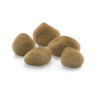 Produktbild von biOrb oase biOrb Sandstein Dekoration für Süßwasser Aquarien in Beige