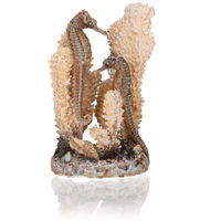Produktbild von biOrb Seepferdchen Skulptur mit Korallen für Süßwasser- und Meerwasseraquarien Natural S Beige Braun