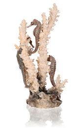 biOrb Seepferdchen Skulptur mit Korallen in Natur M Aquarium Ornament für Süßwasser- und Meerwasseraquarien – Bild 1 von 2