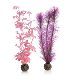 biOrb Seetang Set Mittelgroß Pink Aquariumdekoration für Süßwasser- und Meerwasseraquarien – Bild 1 von 4