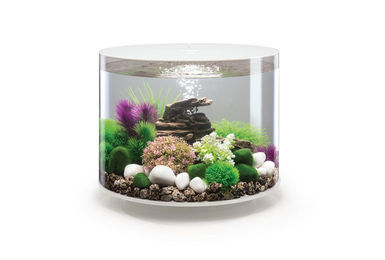 biOrb TUBE 35 MCR Aquarium in Weiß – Bild 1 von 4