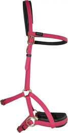 Produktbild von Biotack T de T Sidepull Zaumzeug aus Biothane für Pferde in Lila oder Rosa