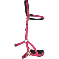 Produktbild von Biotack T de T Sidepull Zaumzeug aus Biothane für Pferde in Lila oder Rosa