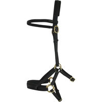 Produktbild von Biotack T de T Sidepull Zaumzeug aus Kunstleder Schwarz