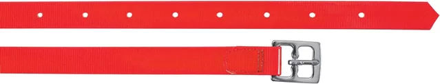 Produktbild von Biothane Sattelstraps Umbria Equitazione Rot
