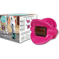 Produktbild von Bizzy Horse Reitspielzeug Salzleckstein Pink aus Kunststoff