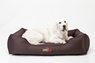 Bjird Hundebett Comfort Hundekissen in Dunkelbraun Größe S mit abnehmbarem und waschbarem Bezug – Bild 1 von 9