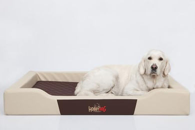 Bjird Hundebett Deluxe aus Kunstleder hypoallergen Beige Größe S – Bild 1 von 9