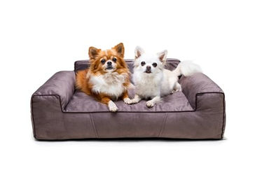 Bjird Hundebett Glamour New Hundekissen Braun M 78 x 53 cm mit abnehmbarem Bezug – Bild 1 von 9