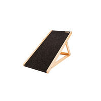 Produktbild von Bjird Hunderampe Skipper Anti-Rutsch Auffahrrampe für kleine Hunde und Katzen Schwarz 93x44 cm