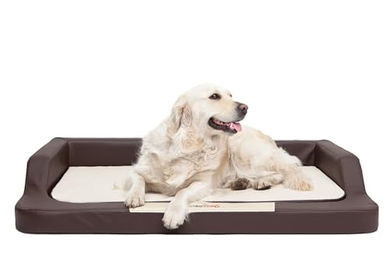 Bjird Orthopädisches Hundebett mit Memory Foam aus Kunstleder S Braun/Beige – Bild 1 von 9