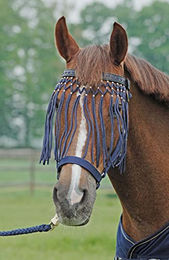 Produktbild von Blaues Fliegenkordelband für Busse und Ponys