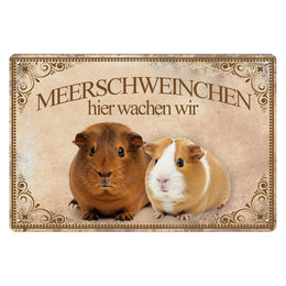 Produktbild von Blechschild Vintage Meerschweinchen HIER WACHSEN WIR