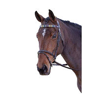 Produktbild von Blenheim Pferde-Stirnriemen aus Leder für Ponys in Lila Grün Gelb Bunt - 1 Stk.