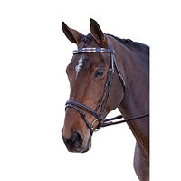 Produktbild von Blenheim Pferde-Stirnriemen aus Leder Polo für Warmblut in Lila Grün Gelb