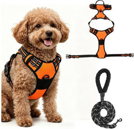 BlingBin Anti-Zieh Hundegeschirr mit Leine aus Nylon und Polyester, atmungsaktives und reflektierendes Y-Geschirr für mittelgroße Hunde – Bild 1 von 5
