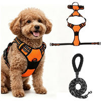 Produktbild von BlingBin Anti-Zieh Hundegeschirr mit Leine aus Nylon und Polyester, atmungsaktives und reflektierendes Y-Geschirr für mittelgroße Hunde