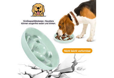 BlingBin Antischlingnapf für Katzen aus Melamin in Blau oder Grün – Bild 1 von 3