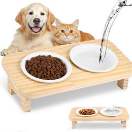 BlingBin Ergonomischer Doppelnapf aus Keramik für Katzen und kleine Hunde mit 15 Grad Neigung Weiß – Bild 1 von 4
