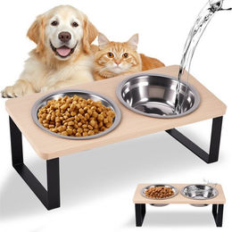 BlingBin Erhöhtes Napf-Set aus Edelstahl für Katzen und kleine Hunde mit 2 Futternäpfen – Bild 1 von 2