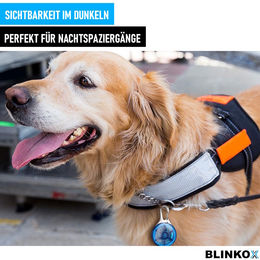 BLINKOX LED-Hundeanhänger abnehmbare Hundehalsbandleuchte Blau – Bild 1 von 5