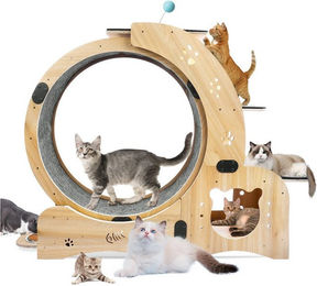 Blossom Katzenlaufrad XXL aus Holz mit extra langen Pedalen für erwachsene Katzen – Bild 1 von 1