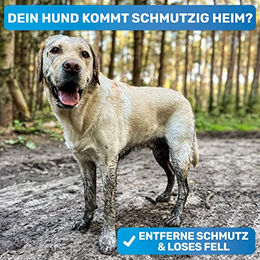 BluePet Badebürste Gummistriegel für Kurzhaar Hunde und Katzen in Blau – Bild 1 von 6