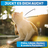 Produktbild von BluePet Flohkamm aus Metall für Hund und Katze zur Entfernung von Flöhen, Läusen und Milben in Blau