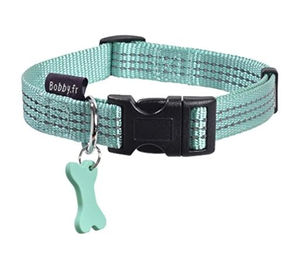 Bobby Hundehalsband Safe aus Nylon in Türkis 42-70 cm – Bild 1 von 3