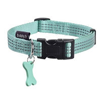 Produktbild von Bobby Hundehalsband Safe aus Nylon in Türkis 42-70 cm