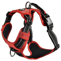 Produktbild von Bobby Rando Walk Anti Ziehgeschirr für Hunde aus Nylon in Rot, Größe S (32–48 x 1,6 cm) - 1 Stk.