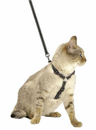 Bobby Safe Katzengeschirr-Set mit Leine und Fluchtschutz, reflektierend, Blau, 25–38 x 10 cm – Bild 1 von 2