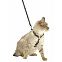Produktbild von Bobby Safe Katzengeschirr-Set mit Leine und Fluchtschutz, reflektierend, Blau, 25–38 x 10 cm