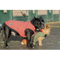 Produktbild von Bobby Wattierte Winterjacke Costaud Blush Rosa XL