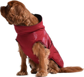 Bobby Wattierte Winterjacke Ride Himbeere Rosa Rot XXL – Bild 1 von 2