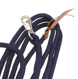 Produktbild von Bodenarbeitsseil BU Standard aus Nylon in Blau 3,7m