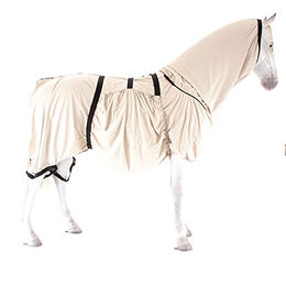 Boett Ekzemdecke Sweet Itch Pony Grau Größe 85-115 – Bild 1 von 3