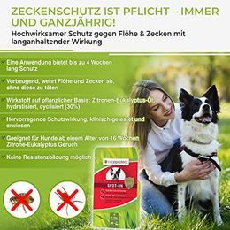 bogaprotect SPOT ON Floh- und Zeckenschutz für Hunde 4-10 kg – Bild 1 von 4