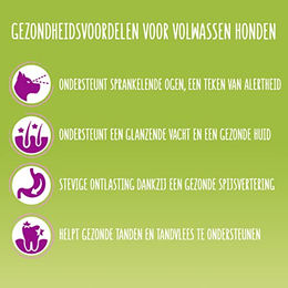 Bonzo Maxi Hundefutter Rind für große Hunde 15 kg – Bild 1 von 5