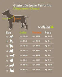 Boon Luxe Coralpina Hundeharnas Cinquetorri Grau Größe 6 45-55 cm – Bild 1 von 3