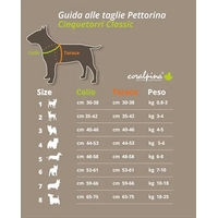 Produktbild von Boon Luxe Coralpina Hundeharnas Cinquetorri Grau Größe 6 45-55 cm