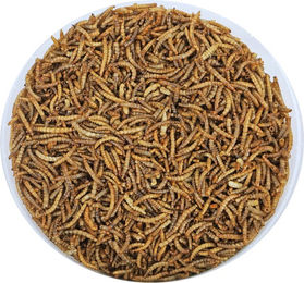 Boon Mehlwürmer Insektenfutter Ganzjährig 2,5 l – Bild 1 von 3