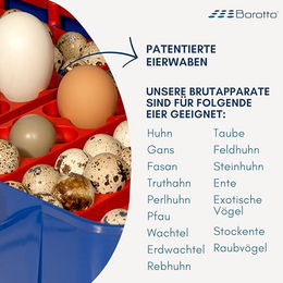 Borotto Real 24 Semi Automatische Brutmaschine für Huhn und Wachtel mit Temperaturkontrolle und halbautomatischer Ei-Wendung – Bild 1 von 13
