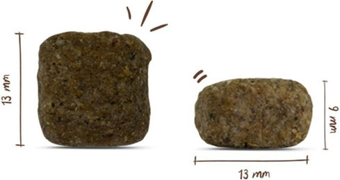 Produktbild von Bosch Hundefutter Active Geflügel für erwachsene Hunde 2x15kg
