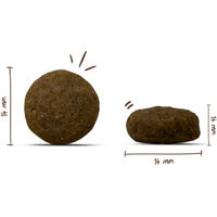 Produktbild von Bosch Hundefutter Junior Trockenfutter Lamm und Geflügel 2x15kg